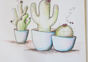 Rysunek przedstawiający kaktusy. Doniczki z roślinami znajdują się w centrum obrazu. Praca wykonana jest ołówkiem i kredkami, użytymi jedynie dla podkreślenia delikatnego światłocienia. Rysunek ogranicza się do wyrazistego konturu roślin, pozostawionych na białym tle.